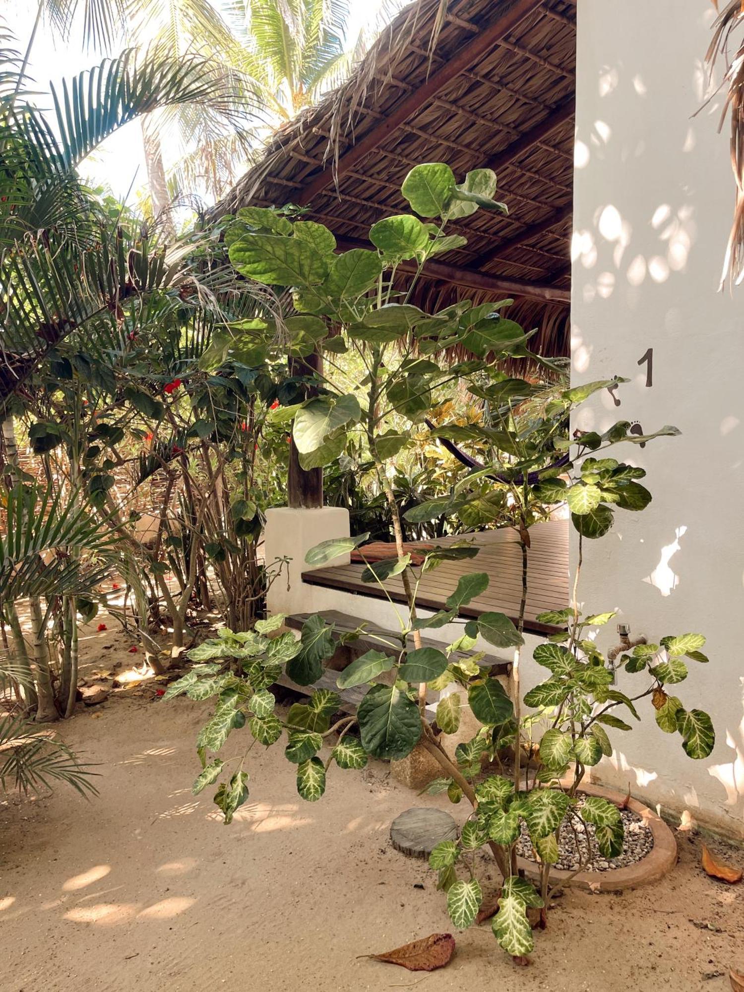 Hotel Descalzo Spa Zipolite Bagian luar foto