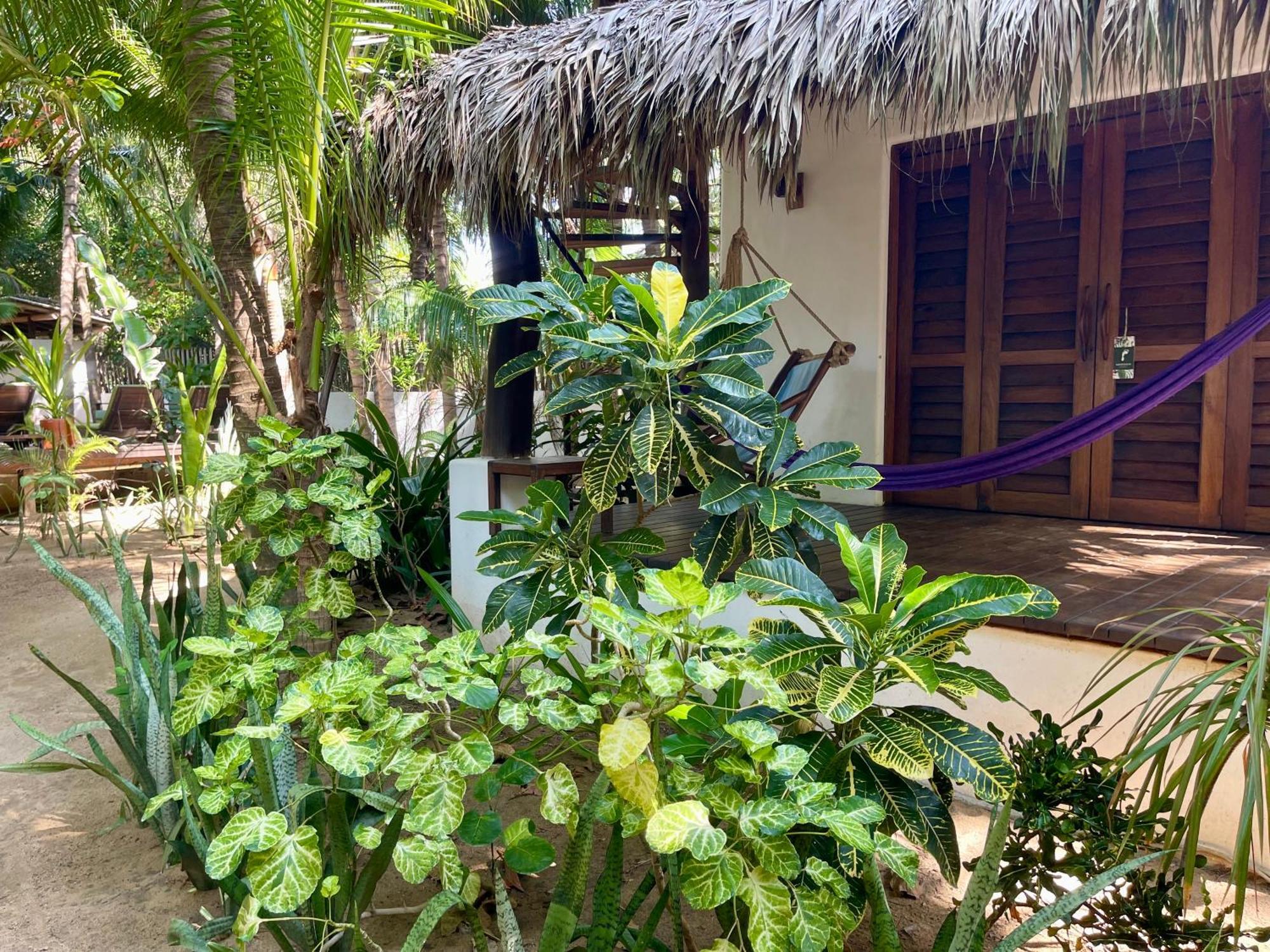 Hotel Descalzo Spa Zipolite Bagian luar foto
