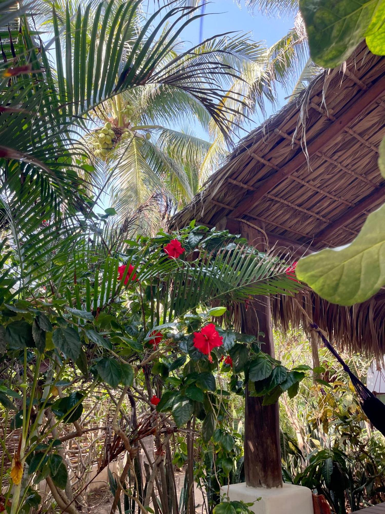 Hotel Descalzo Spa Zipolite Bagian luar foto