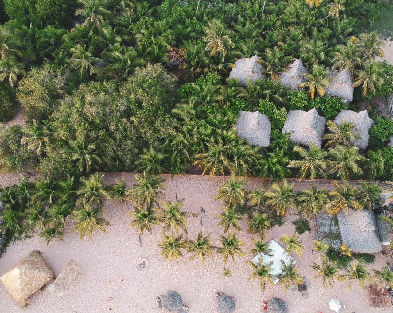Hotel Descalzo Spa Zipolite Bagian luar foto