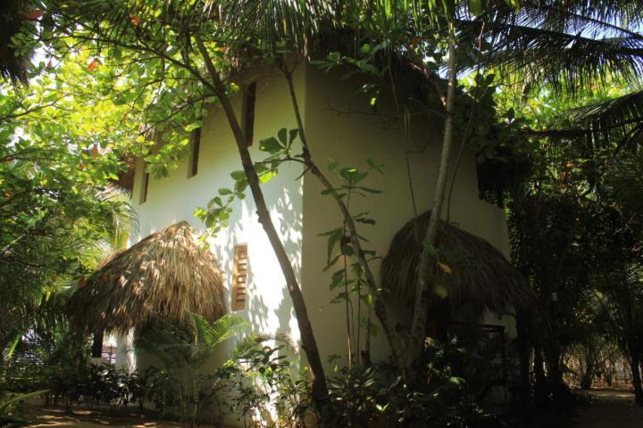 Hotel Descalzo Spa Zipolite Bagian luar foto