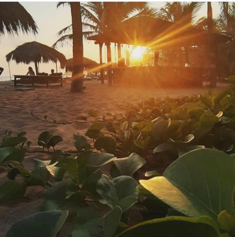 Hotel Descalzo Spa Zipolite Bagian luar foto